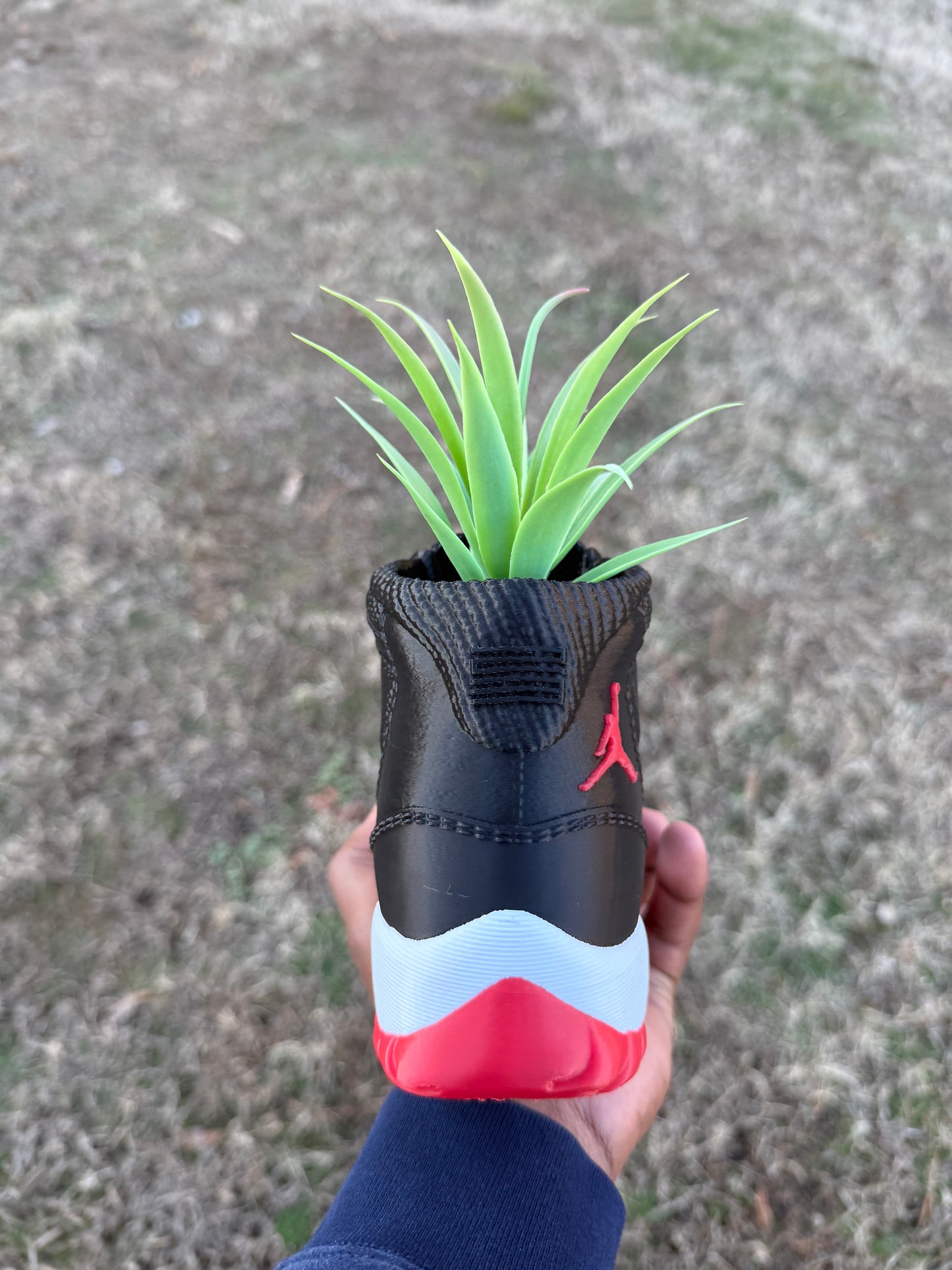 3D Printed AJ11 Bred Sneaker Planter