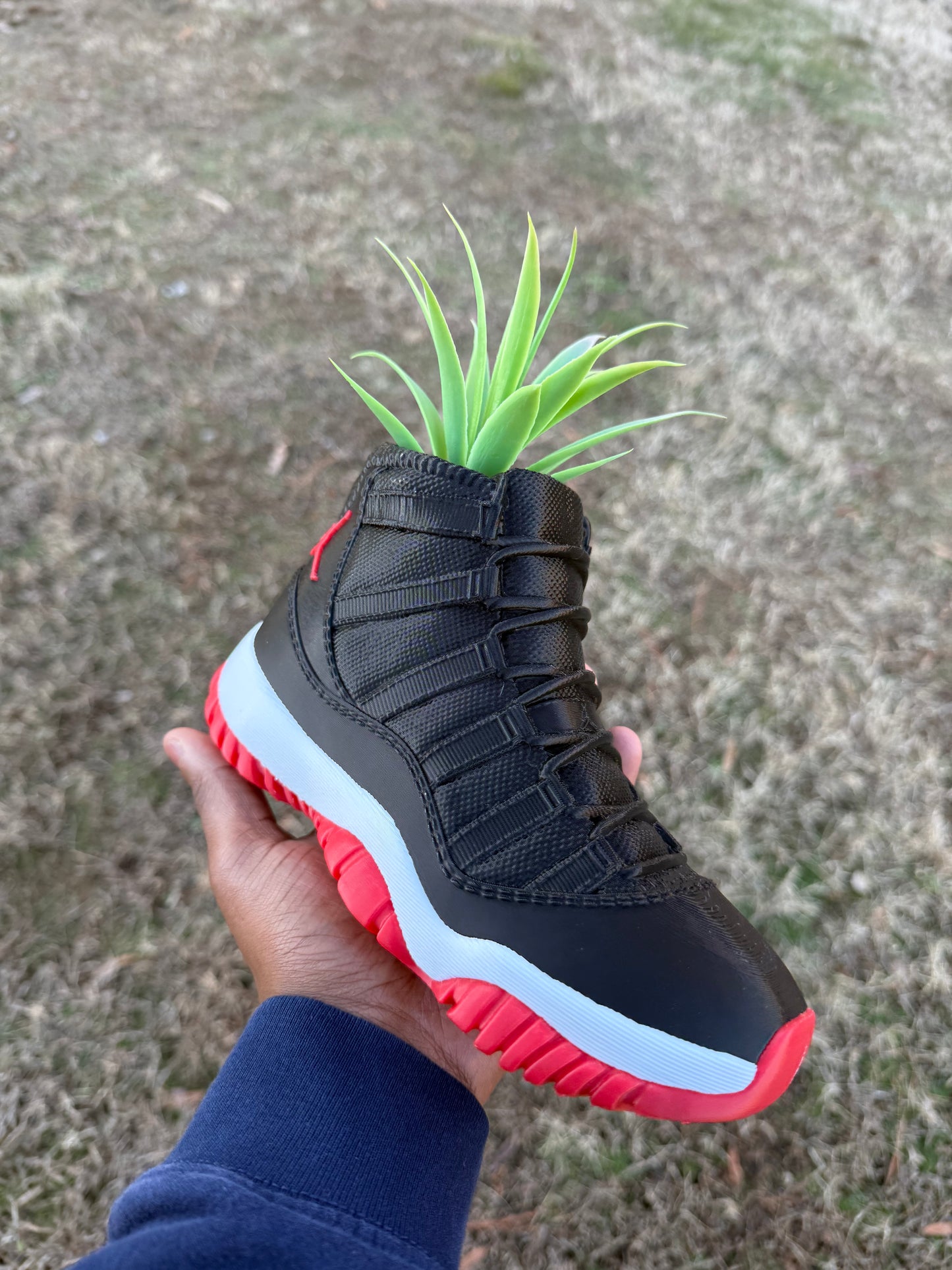 3D Printed AJ11 Bred Sneaker Planter