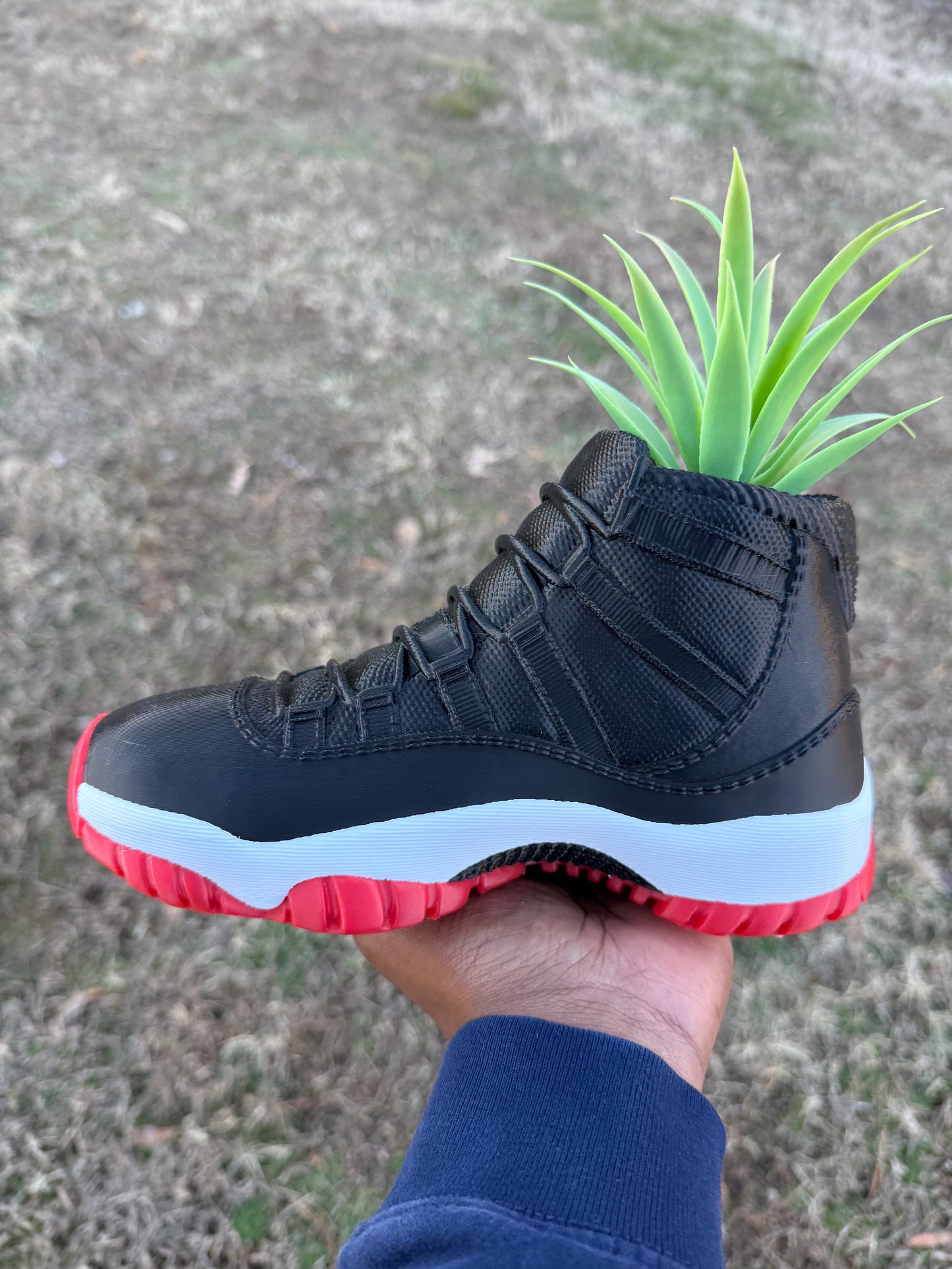 3D Printed AJ11 Bred Sneaker Planter