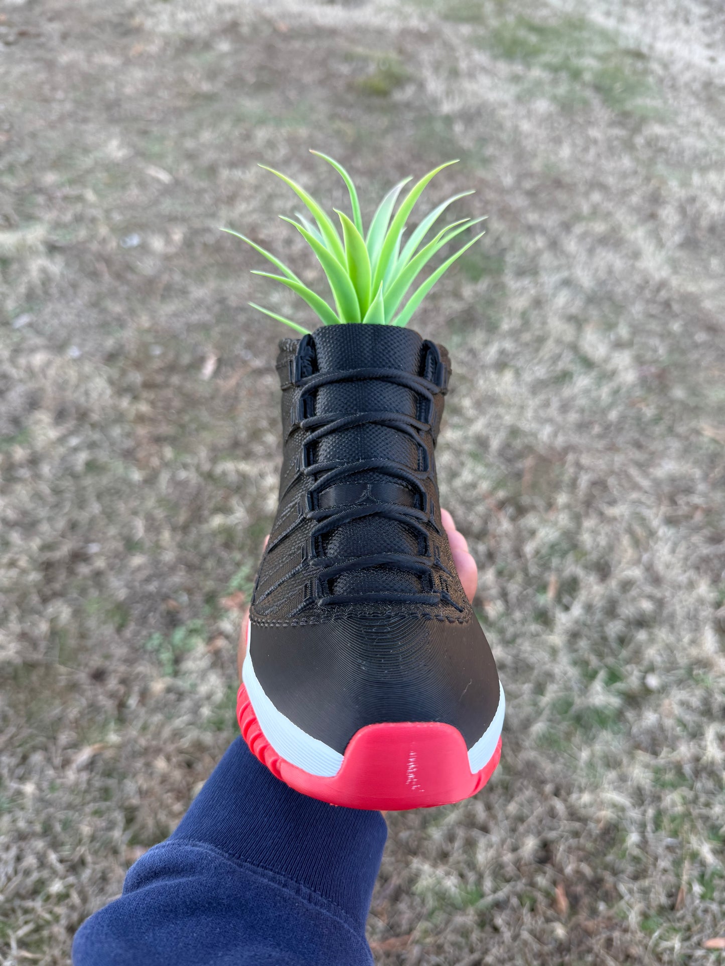 3D Printed AJ11 Bred Sneaker Planter